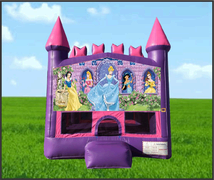 Pink Castle Disney Princess 13x13 Pink Castle Disney Princess 13x13