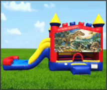 Dinosaurs 4 in 1 Combo Dry Slide Dinosaurs 4 in 1 Combo Dry Slide